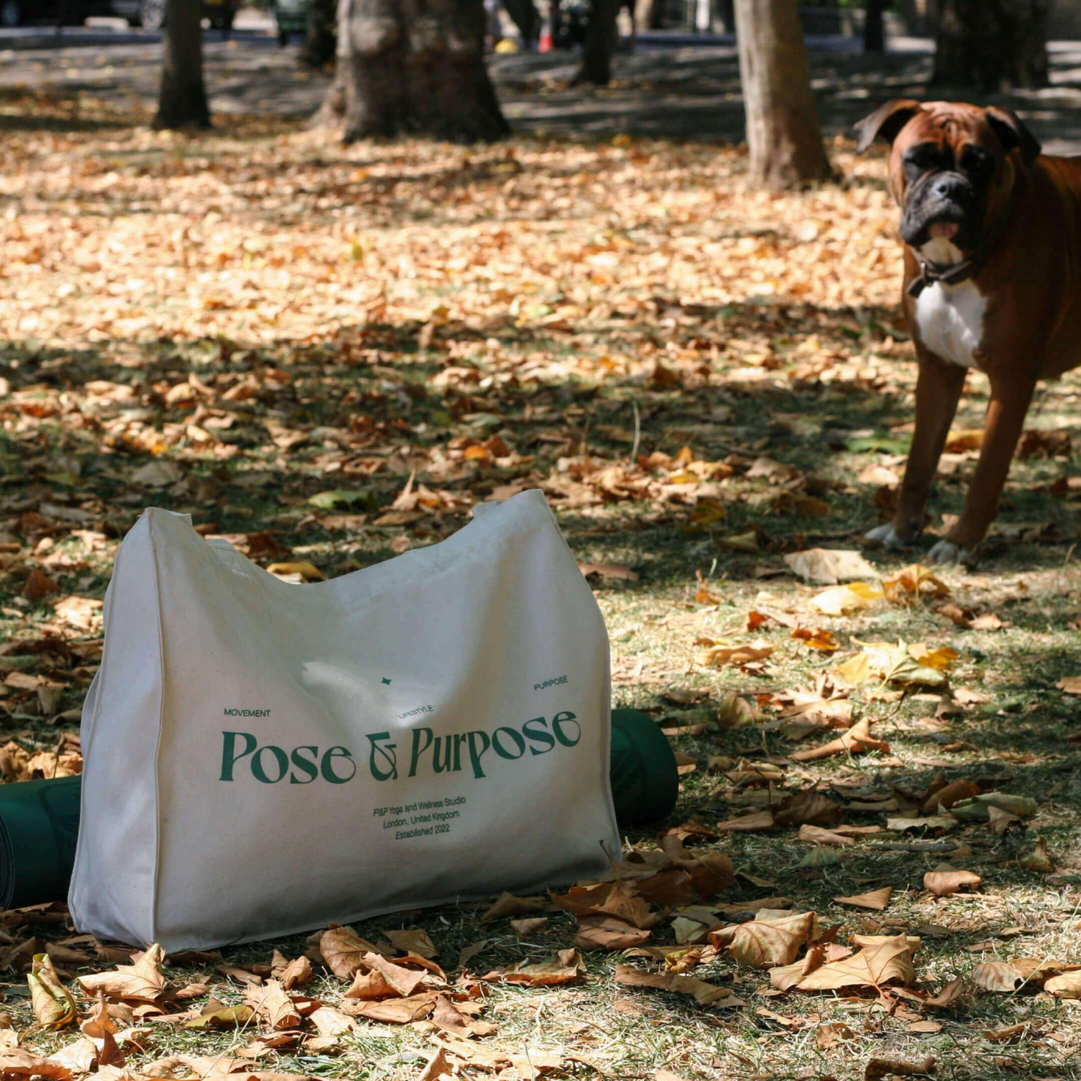 Photo of Pose & Purpose tote bag on autumn leaves with dog